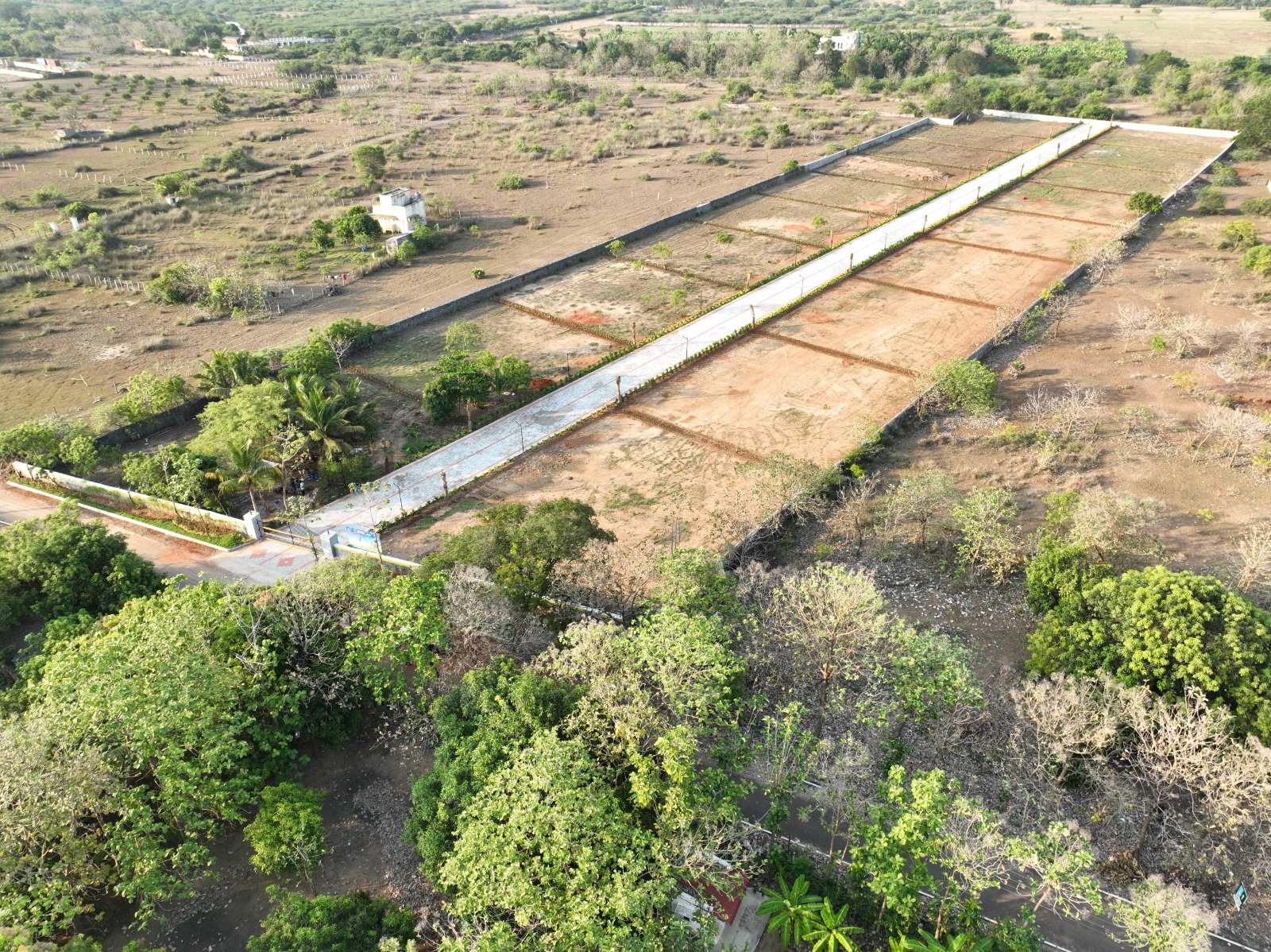 Aerial view of Mannvaasam Farms pathways